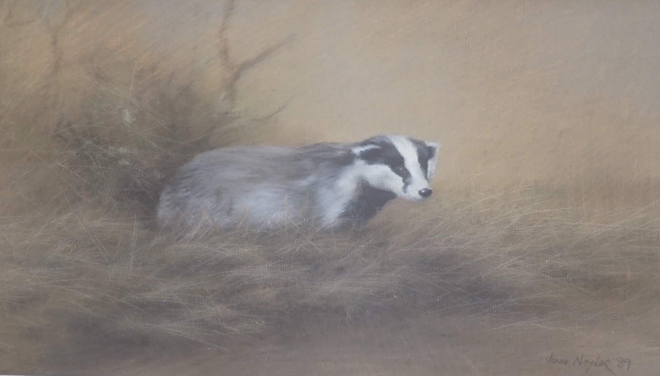 John Naylor (b.1960) pair of pastels, Studies of a badger and a horse, each signed and dated '89, 36 x 44cm